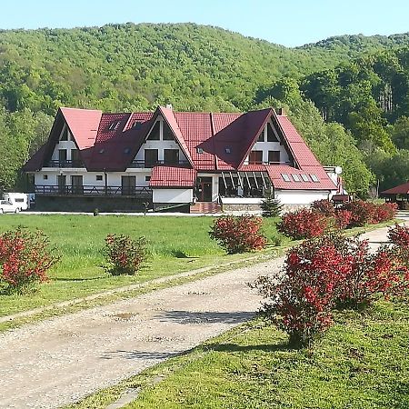 Pensiunea Rasnov Exterior photo
