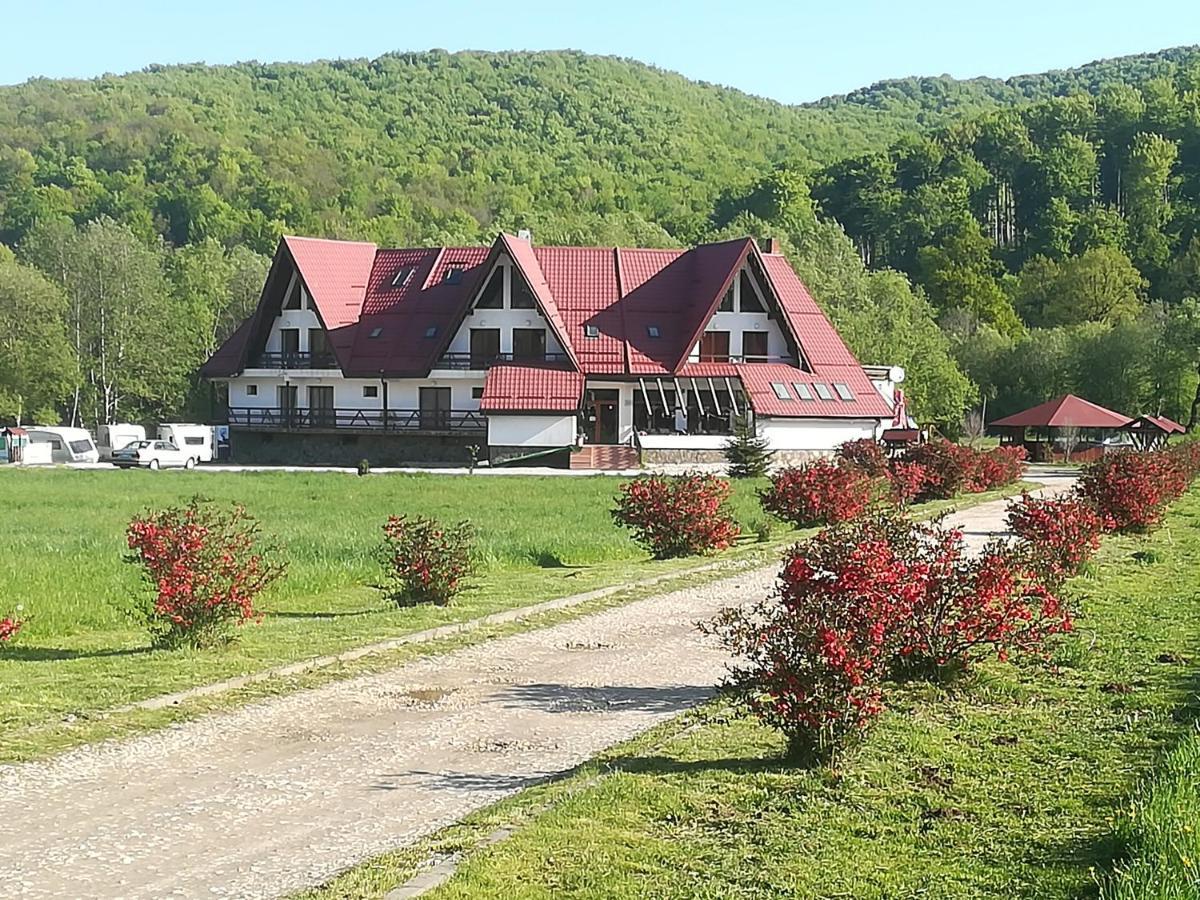 Pensiunea Rasnov Exterior photo