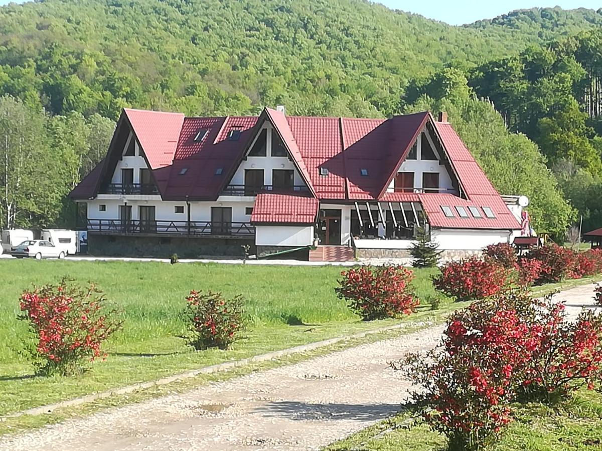 Pensiunea Rasnov Exterior photo