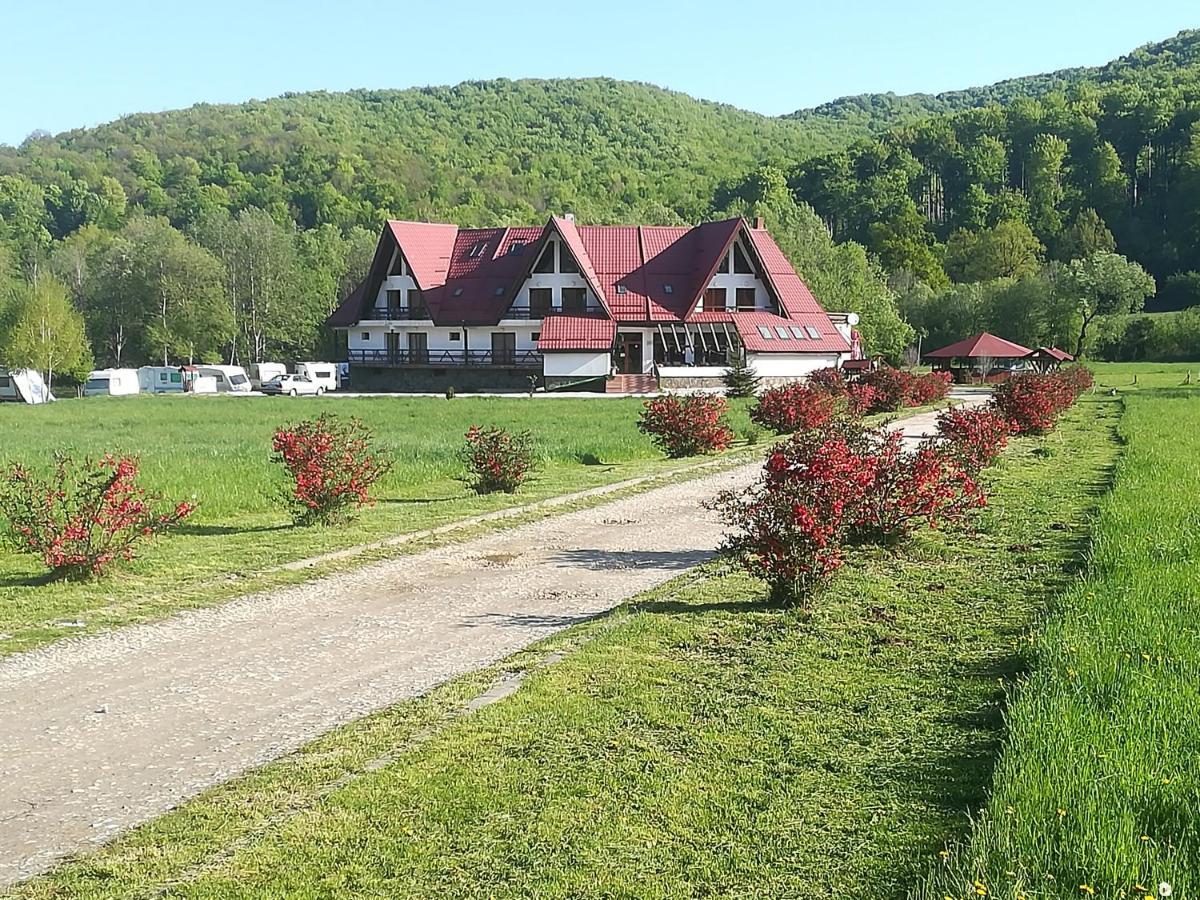 Pensiunea Rasnov Exterior photo