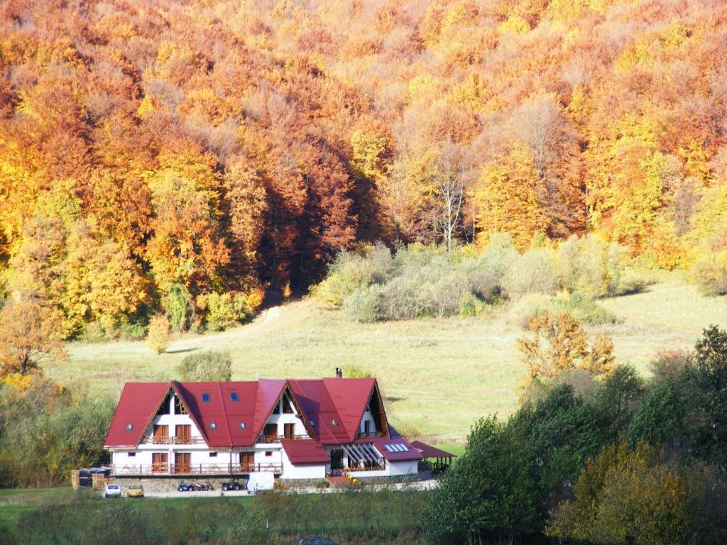Pensiunea Rasnov Exterior photo